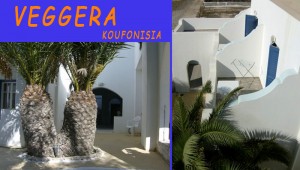 Veggera